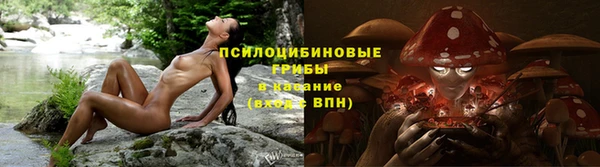 шишки Бородино