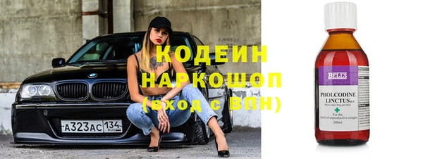 шишки Бородино