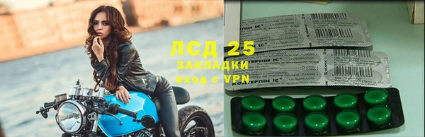 шишки Бородино