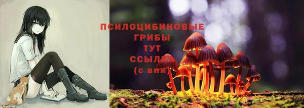 стафф Бугульма