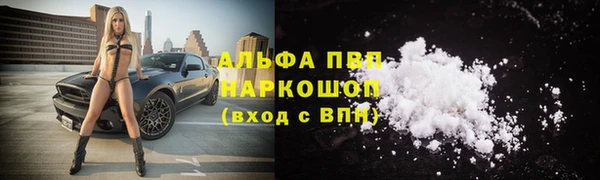 стафф Бугульма