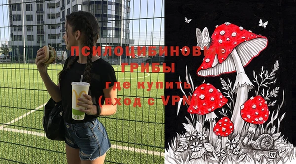 шишки Бородино