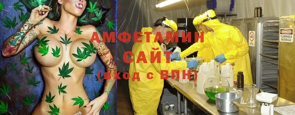 ешки Бронницы